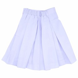 DPS Nerul School Uniform Skirt for Girls